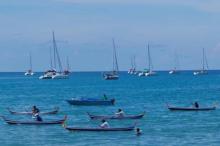 Wonderful Indonesia Berburu Yachter di Selandia Baru