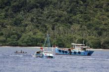 Illegal Fishing Dibasmi, Susi: Stok Ikan Laut Indonesia Meningkat Jadi 12,5 Juta Ton per Tahun