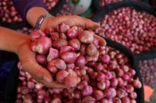 Pendistribusian Cabai dan Bawang Merah Tersendat di Bintan