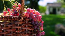 Begini Cara Tampil Cantik Alami dengan Buah Anggur