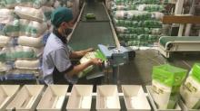 Berlaku Hari Ini Beras Kemasan Wajib Cantumkan Label