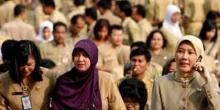 Jumlah Honorer Pemko Batam Dianggap Overload dan Tak Efektif