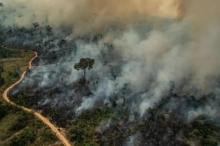 Hutan Seluas Lapangan Bola di Amazon Hilang Setiap 6 Detik