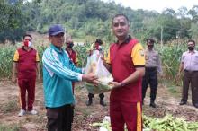 Polres Lingga Bagikan Jagung Hasil Panen ke Warga Terdampak Corona