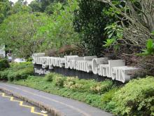 Seperti Inilah Singapura Merawat Pohon yang Hampir Punah