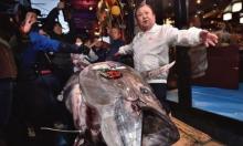 Jutawan Jepang Beli Tuna Raksasa Seharga Rp 25 Miliar