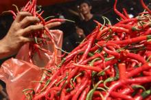 Pedas! Harga Cabai Sempat Lebih Mahal dari Daging Sapi
