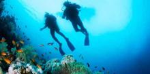 Indonesia Incar Para Diver Malaysia