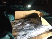Penampakan Ikan Beku Diduga Umpan di Kapal Win Long