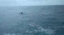 Video: Detik-detik Menegangkan Penyelamatan 3 Nelayan Bintan