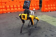 Keren, Robot Anjing Ini jadi Perantara Tim Medis dan Pasien Covid-19