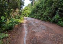 Pengaspalan Jalan 11 Km di Lingga, Pemprov Kepri Butuh Waktu 11 Tahun