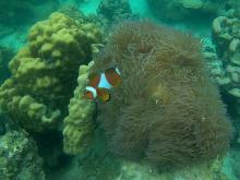 Potret Keindahan Surga Tersembunyi di Pulau Abang