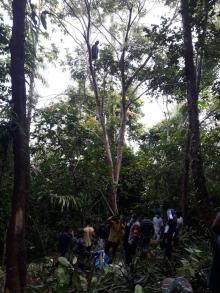 Jasad Pria Mengering Tergantung di Pohon Jati Bikin Geger Kelarik Natuna