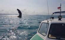 Bangkai Kapal Tanpa Identitas Ditemukan Hanyut di Perairan Senayang Lingga