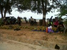 Petani Banting Harga, Waktunya Berburu Durian di Natuna
