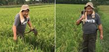 Perhatikan, Ada yang Aneh di Foto Susno Duadji Jadi Petani Ini