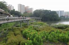 Tawaran Baru dari Bukit Panjang - Singapura 
