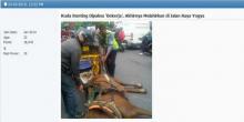 Duh, Dipaksa Narik Andong, Kuda Melahirkan Mendadak di Jogja