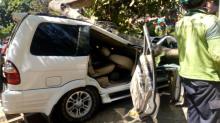 Pohon Tumbang Timpa Mobil di Universitas Pancasila, 1 Orang Tewas