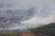 Pekanbaru dan Dumai Sudah Tertutup Kabut Asap