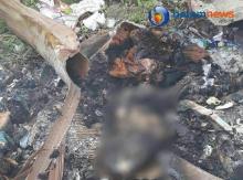Mayat Bayi Terbakar di Batuaji Diautopsi di RS Bhayangkara