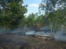 Lagi, Hutan dan Lahan di Bintan Utara Terbakar 