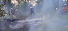 Deliberate Land Fires Make Bintan Police Chief Furious