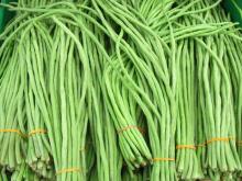 Jelang Lebaran, Harga Kacang Panjang di Batam Rp 40 Ribu