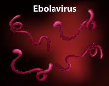 Corona Belum Reda, Wabah Ebola Merebak di Afrika Barat