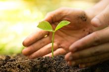 Polda Kepri Go Green Tanam 4.800 Pohon