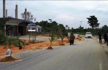 Kesal, Warga Meral Barat Tanam Pohon Kelapa di Tengah Jalan Berlumpur