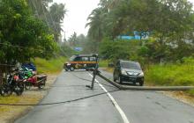 Angin Kencang Tumbangkan Pohon Kelapa dan Tiang Listrik di Natuna, Polisi Gerak Cepat