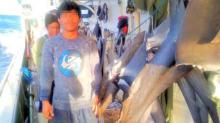 Guru SMK Kelautan Natuna Kaget Alumni Jadi Korban di Kapal Ikan China 