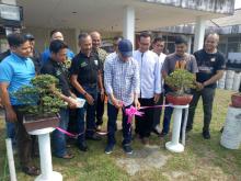 Gandeng KNPI Gelar Pameran Bonsai, PPBI Singkep Minta Dukungan Pemerintah