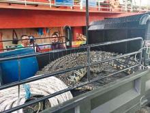 Luka Tembak, Buaya Seberat Setengah Ton Sembunyi di Saluran Air Sekolah