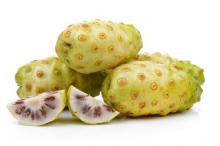 5 Manfaat dan Efek Samping Buah Mengkudu Bagi Kesehatan