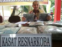 Polresta Barelang Ringkus Penyelundup 26,2 Kg Ganja Kering