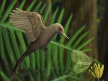 Fosil Dinosaurus Terkecil di Dunia Ditemukan di Myanmar
