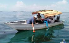 Pak Menko Maritim, Limbah Oli Cemari Perairan Kepri Lagi!