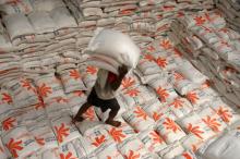 Operasi Pasar Ternyata Tak Sanggup Turunkan Harga Beras