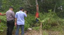 Seorang Wanita Cantik Ditemukan Tewas Tergantung di Hutan Depan Indomobil