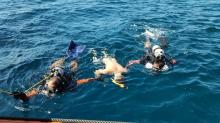 WNA Finlandia Tewas Tenggelam Saat Snorkeling