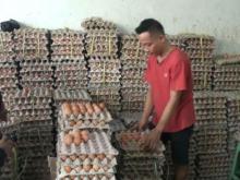 Harga Telur di Pasar Tanjungpinang Naik 