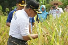 DPD RI Apresiasi Gebrakan Alias Wello
