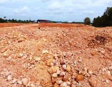 Penimbunan Hutan Bakau Bikin KNTI Bintan Meradang