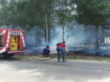 Dua Hektare Lahan di Binut Hangus Terbakar Karena Hal Ini