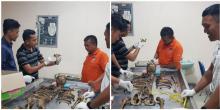 Kerangka Manusia Dalam Warung di Pantai Galang, Diduga Pemuda yang Hilang