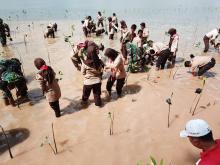 Pemecahan Rekor Muri Tanam Mangrove oleh Lantamal IV Tanjungpinang