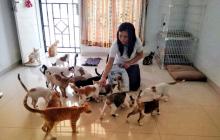 Pecinta Kucing Bakal Gelar Hari Donasi Kucing se-Kepri